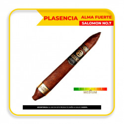 PLASENCIA-ALMAFUERTE-GV-SALOMON7