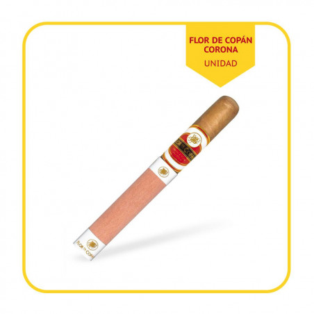 FDC-CORONA-UND
