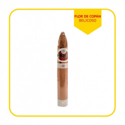 FDC-BELICOSO-UND